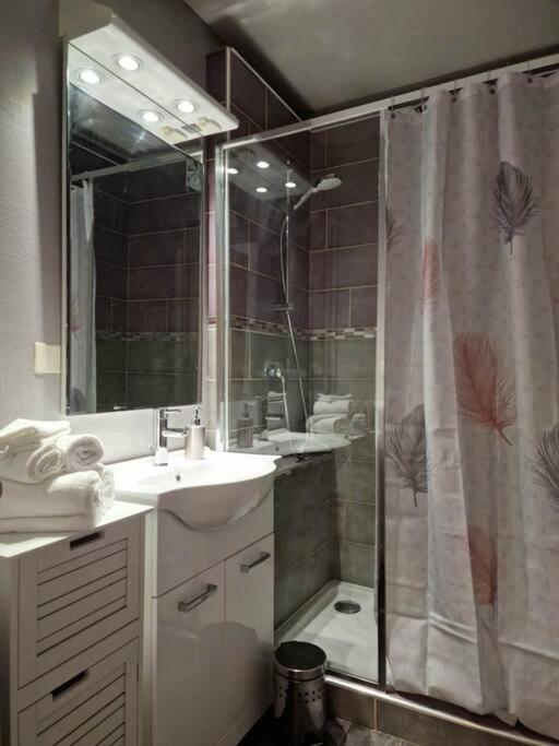Superbe 2 Pieces - Riviera Des Alpes - Parking Gratuit * Aix-les-Bains